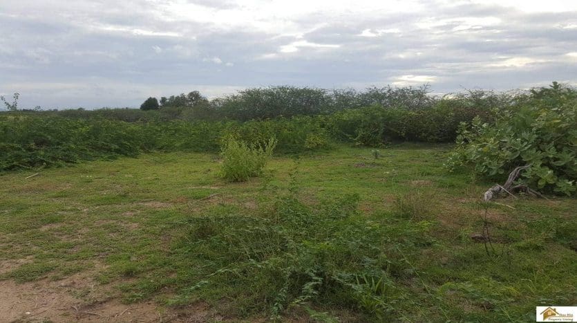 Near Beach Land In Cha Am – Only 200M From Cha Am Beach